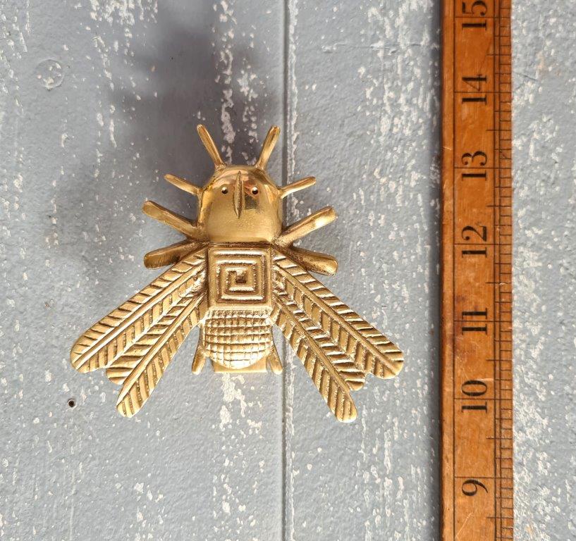 Door Knocker BEETLE Solid Brass 100mm (Front Screw Fixing)