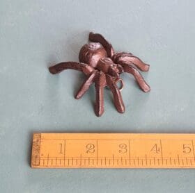 Tarantula Spider Cast Antique Iron 70mm